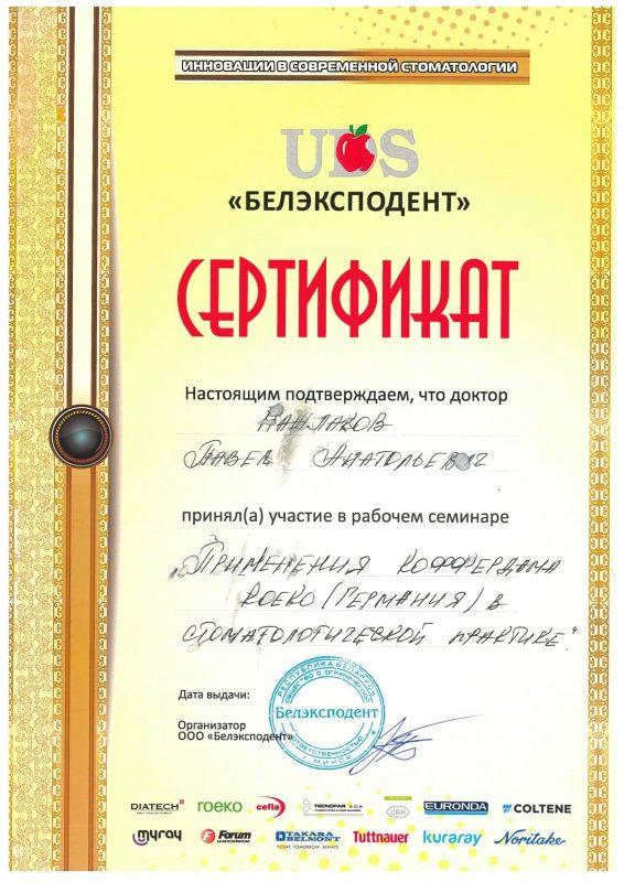 Сертификат Пажлаков Павел Анатольевич