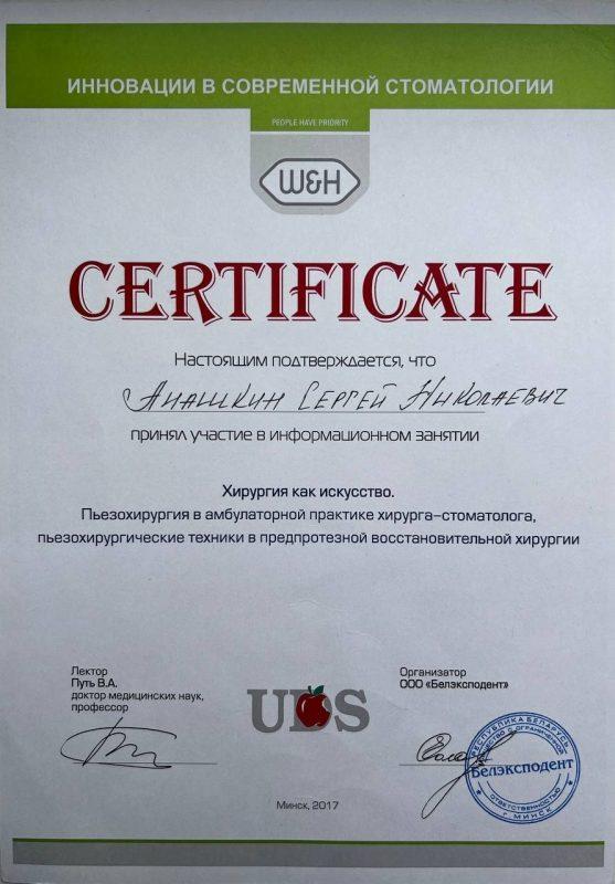 Сертификат Хирурга Анашкина Сергея об участии в информационном занятии Хирургия как искусство - 2017